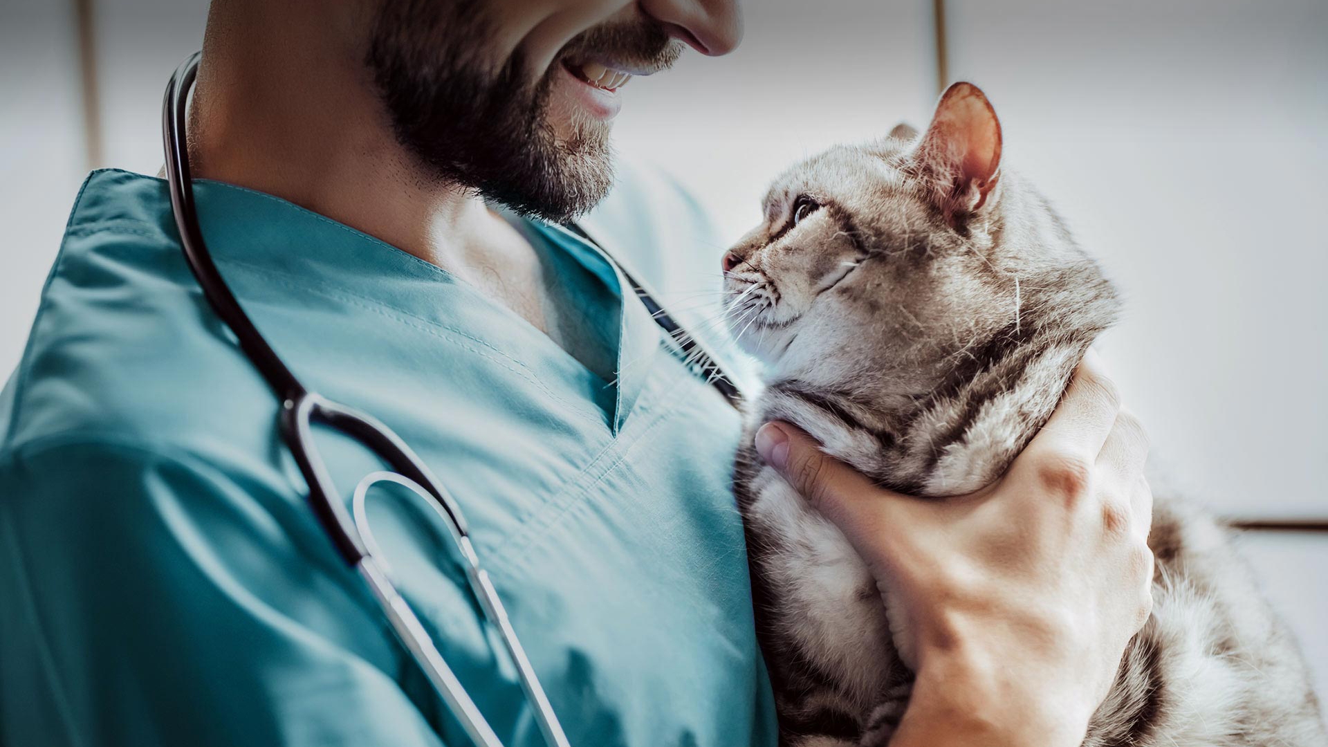 Gölmarmara Veteriner